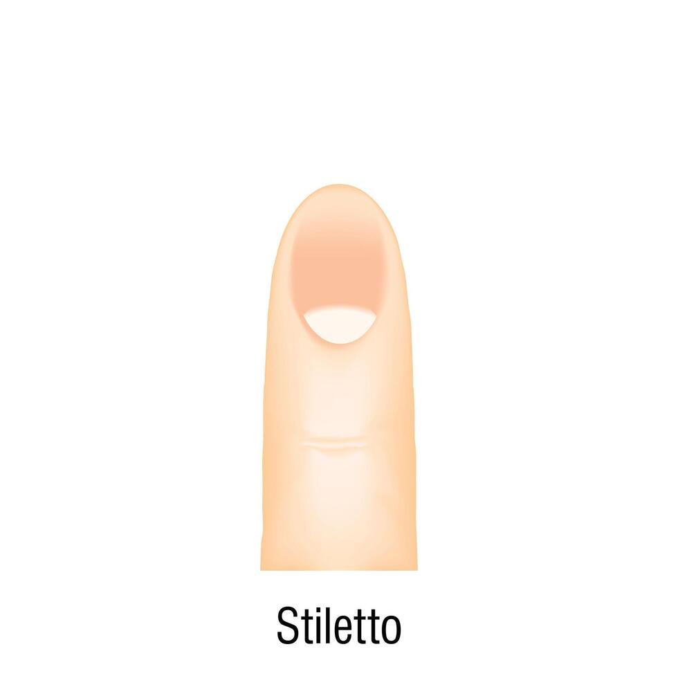 Stiletto nail care icon cartoon vector. Fake form vector