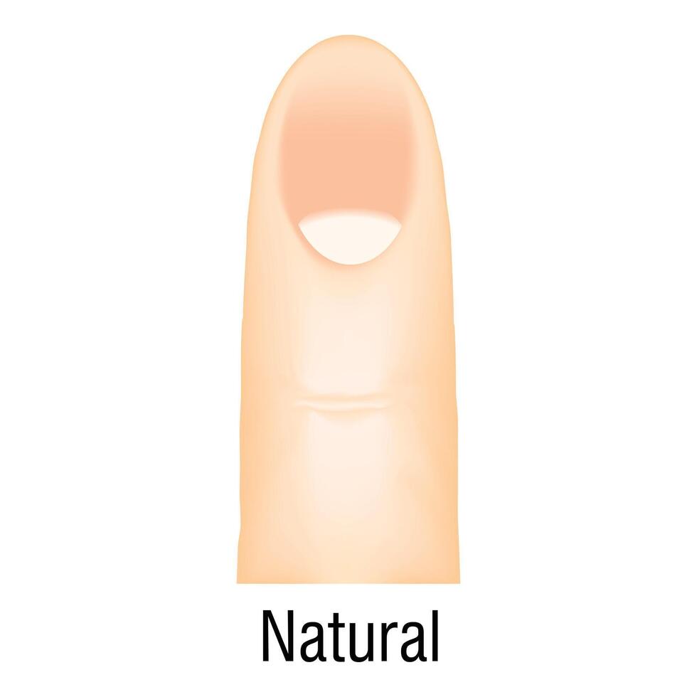 Natural nail manicure icon cartoon vector. False fashion vector