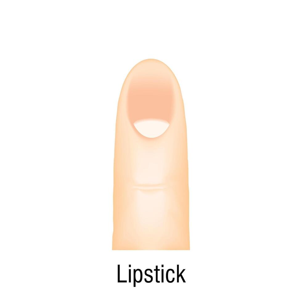 Lipstick nail care icon cartoon vector. Shape care art vector