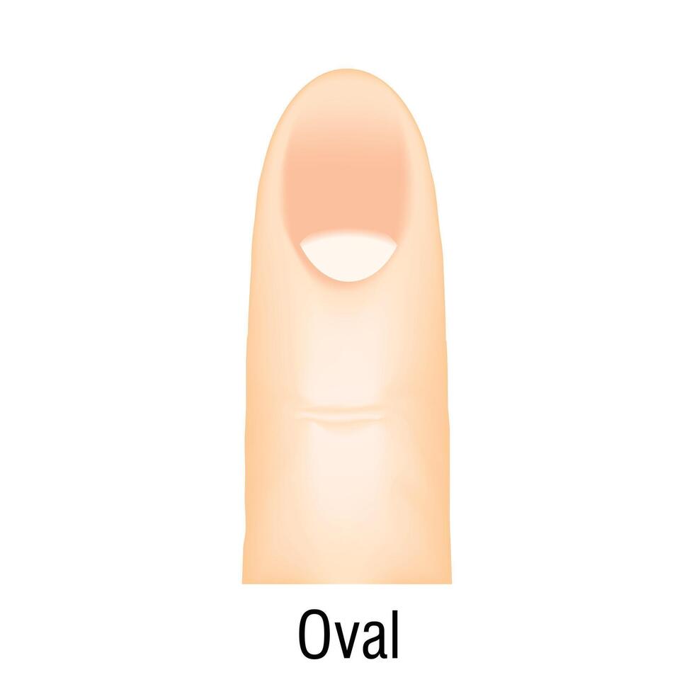 Oval nail manicure icon cartoon vector. Bright fashion vector