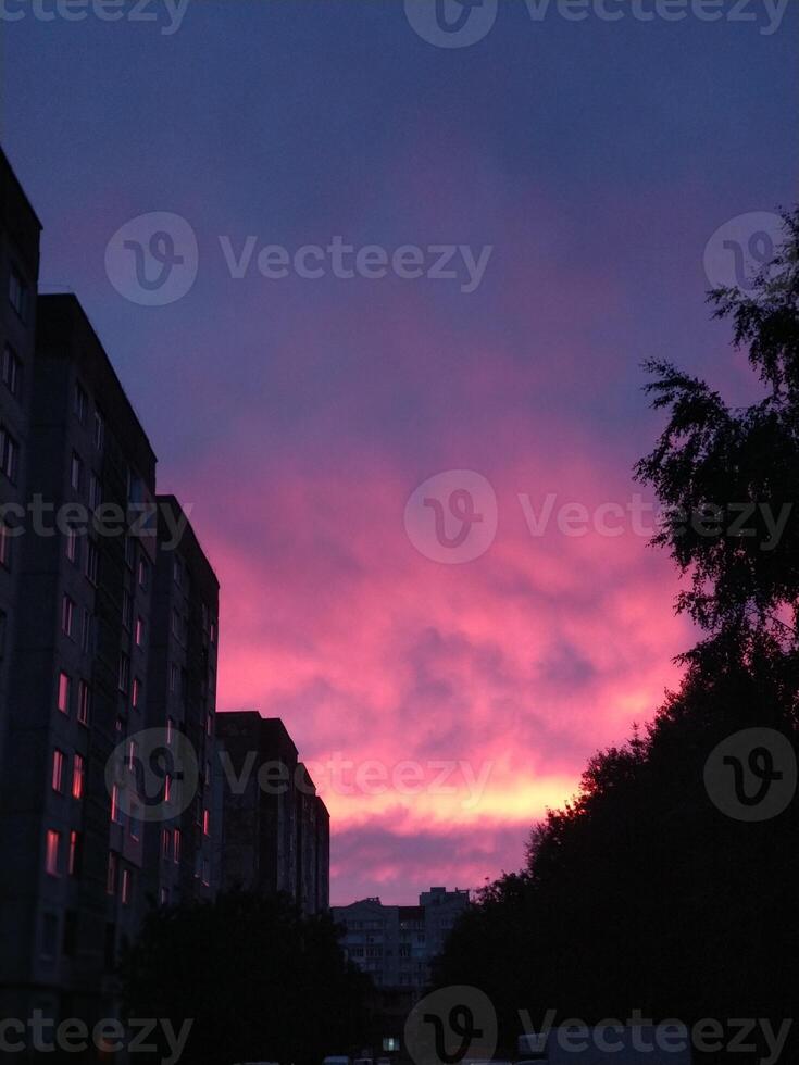 Bright pink evening sky with reflection in the windows photo