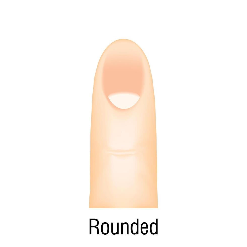 Rounded nail shape icon cartoon vector. Fashion farm vector