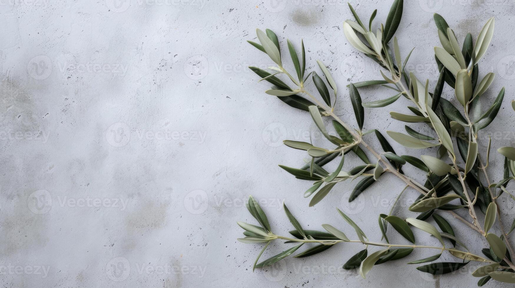 AI generated Wild olive branches on gray background. Copy space photo