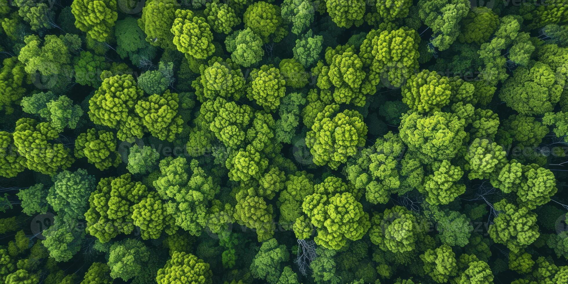 AI generated The resilience of nature in the face of environmental challenges. The regenerative power of ecosystems, emphasizing the importance of protecting and restoring our planet photo