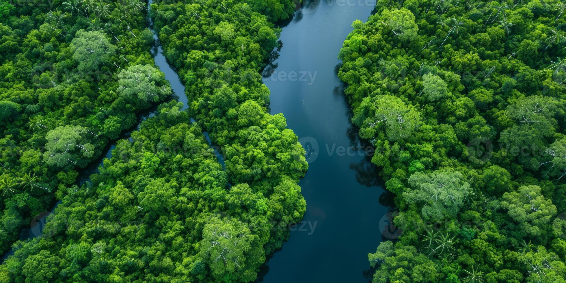 AI generated The resilience of nature in the face of environmental challenges. The regenerative power of ecosystems, emphasizing the importance of protecting and restoring our planet photo