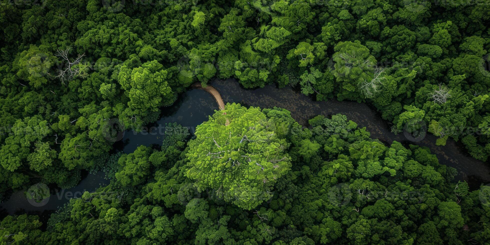 AI generated The resilience of nature in the face of environmental challenges. The regenerative power of ecosystems, emphasizing the importance of protecting and restoring our planet photo