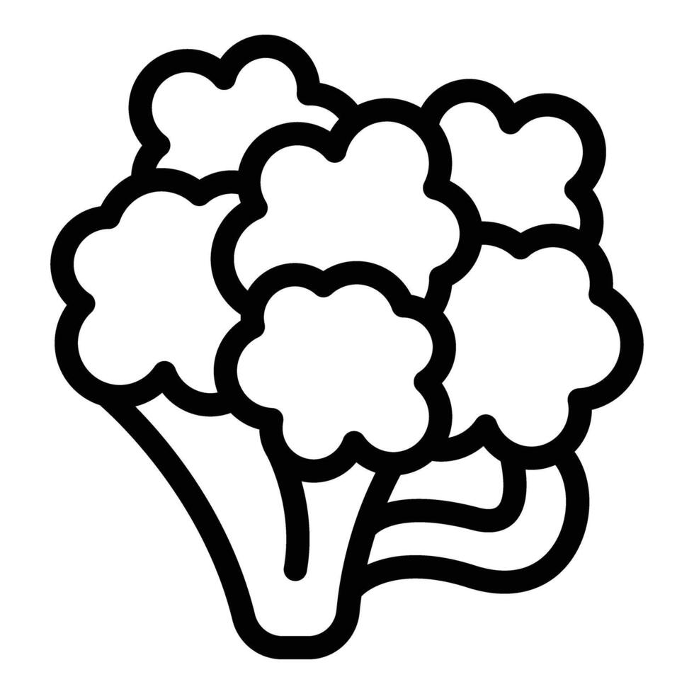 Food cauliflower icon outline vector. Healthy vitamin vector