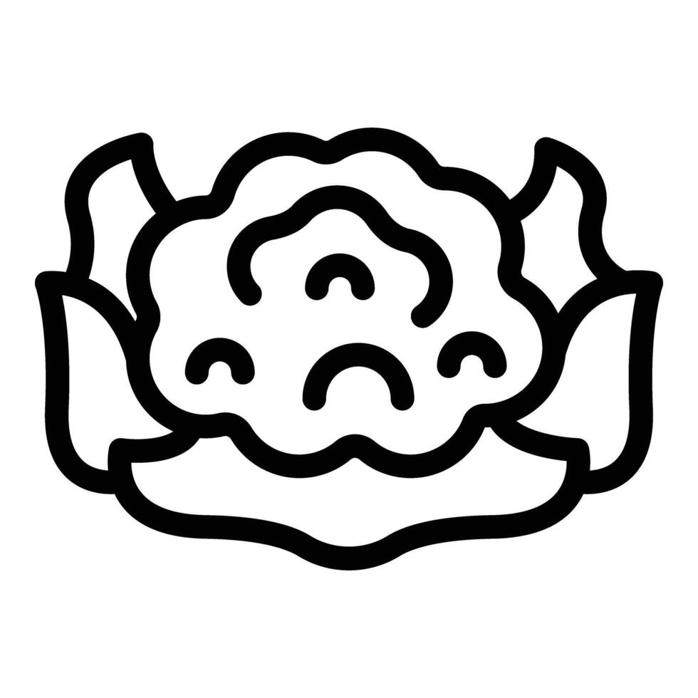 Leaf cauliflower icon outline vector. Cooking leaves vector