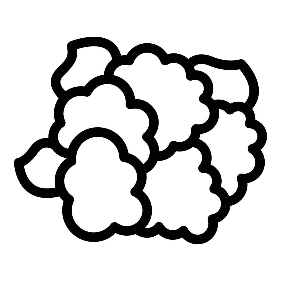 Cauliflower product icon outline vector. Organic diet vector