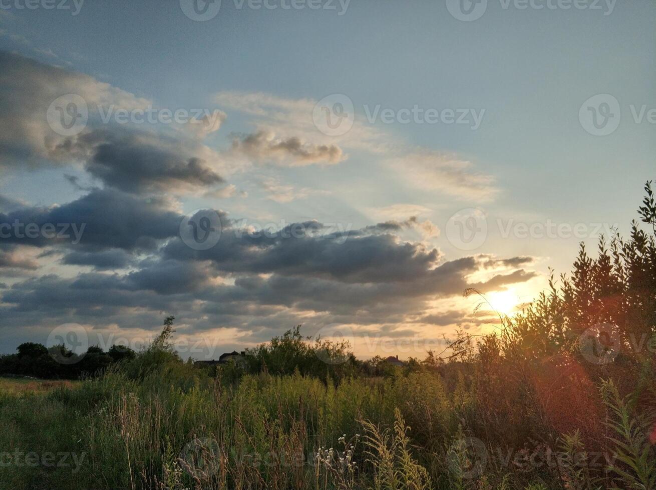 Beautiful evening landscape, field with tall grass, path and big clouds photo