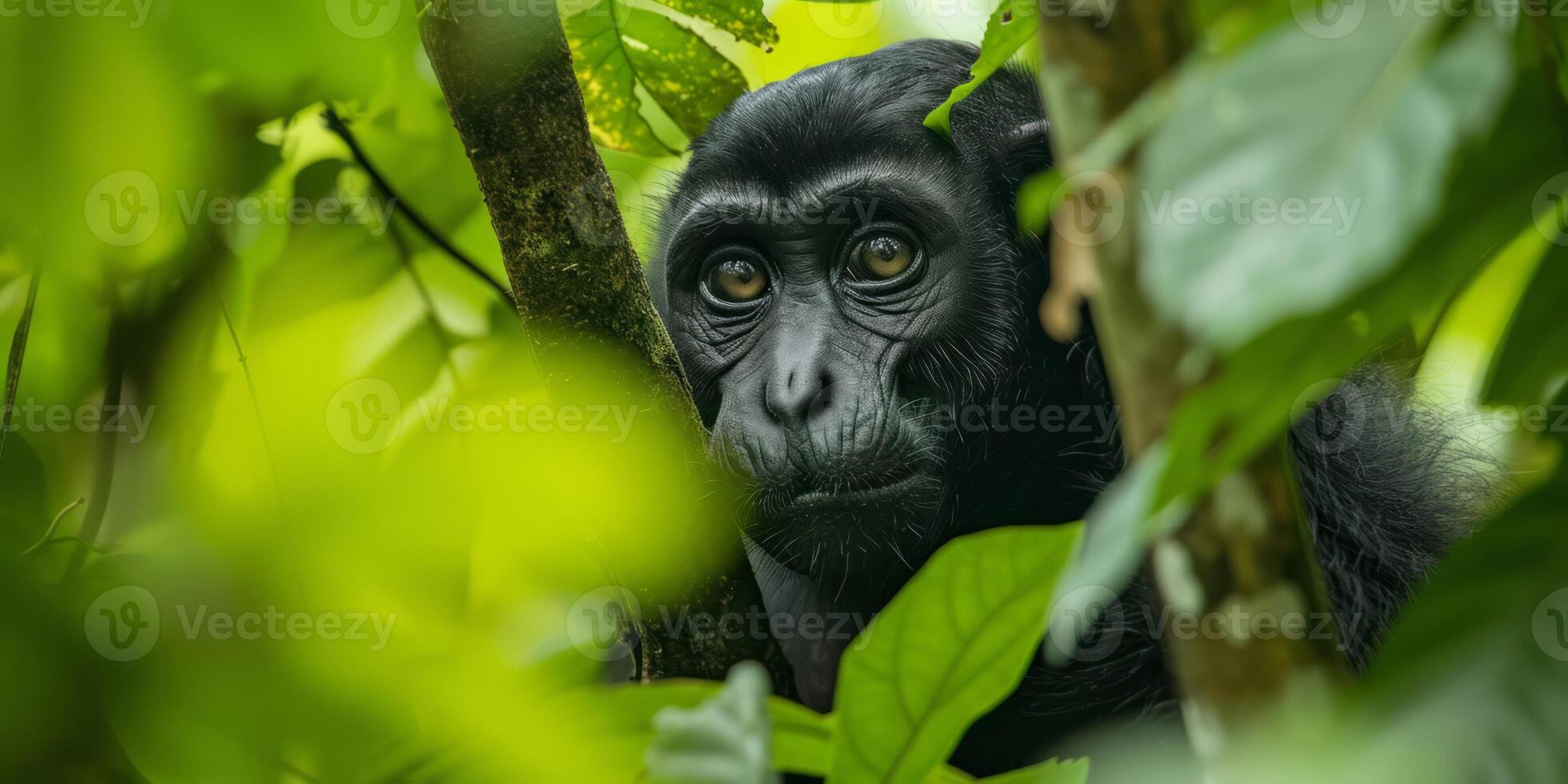 AI generated The breathtaking beauty of our Earth, from lush rainforests. Explore images that showcase the diversity of landscapes, emphasizing the need to conserve and cherish these natural wonders photo