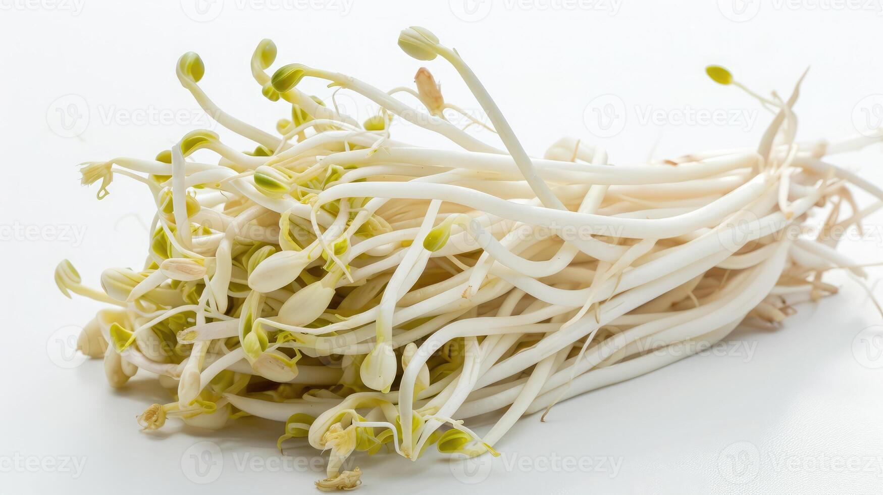 AI generated Bean sprouts on isolated white background. photo