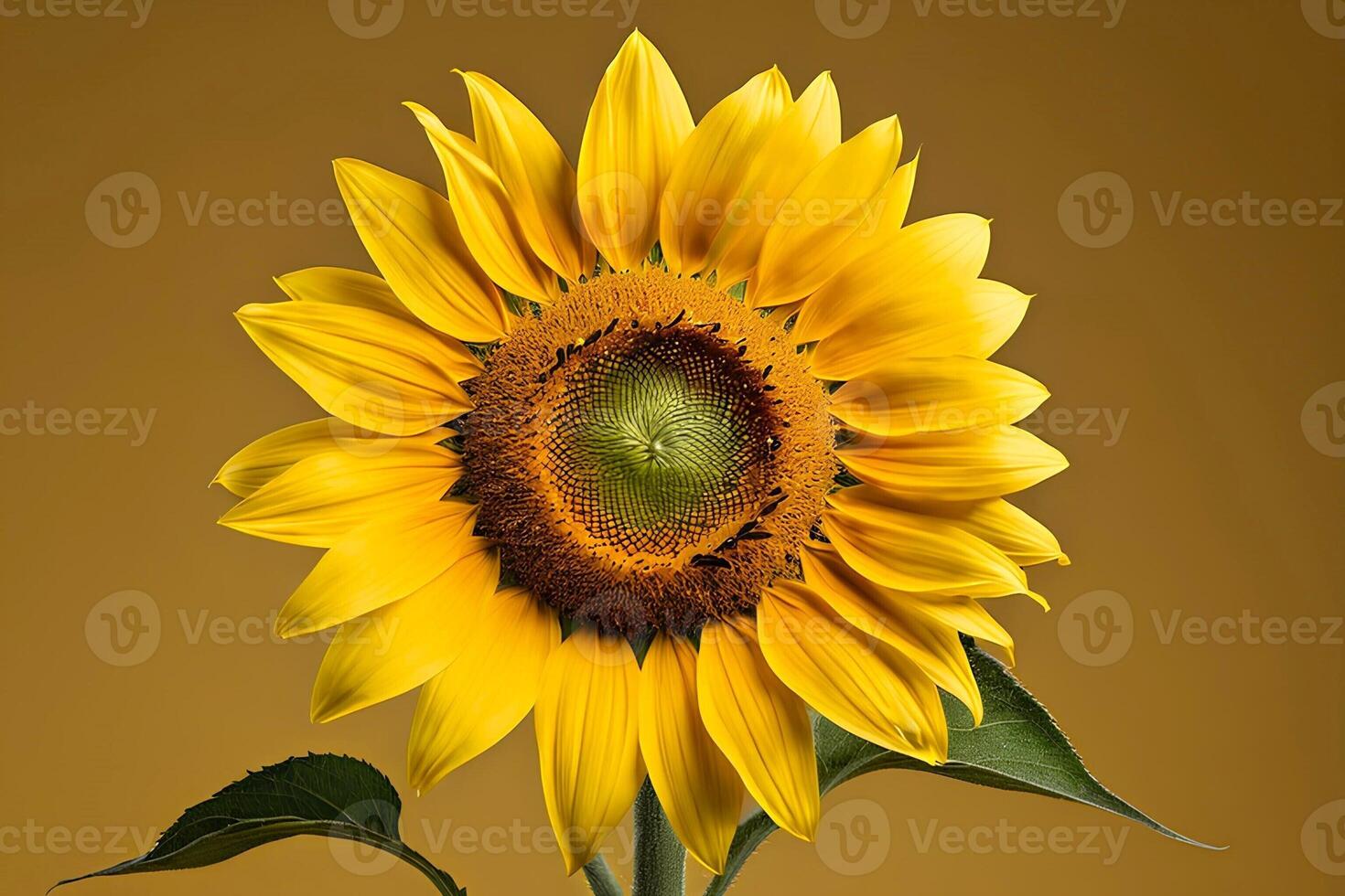 AI generated A beautiful sunflower is on yellow background during spring photo