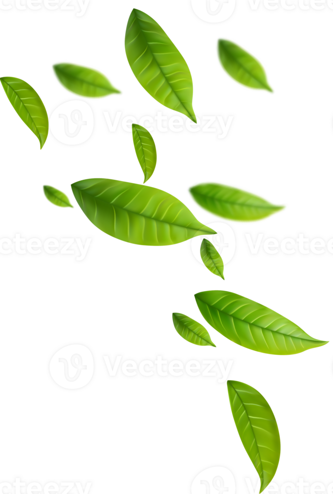 Realistic green tea leaves in motion png