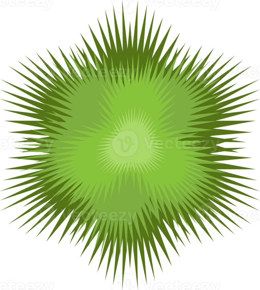 Trees top view. png