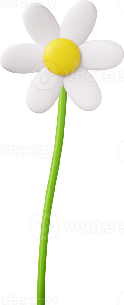 3d colorful daisy flower png