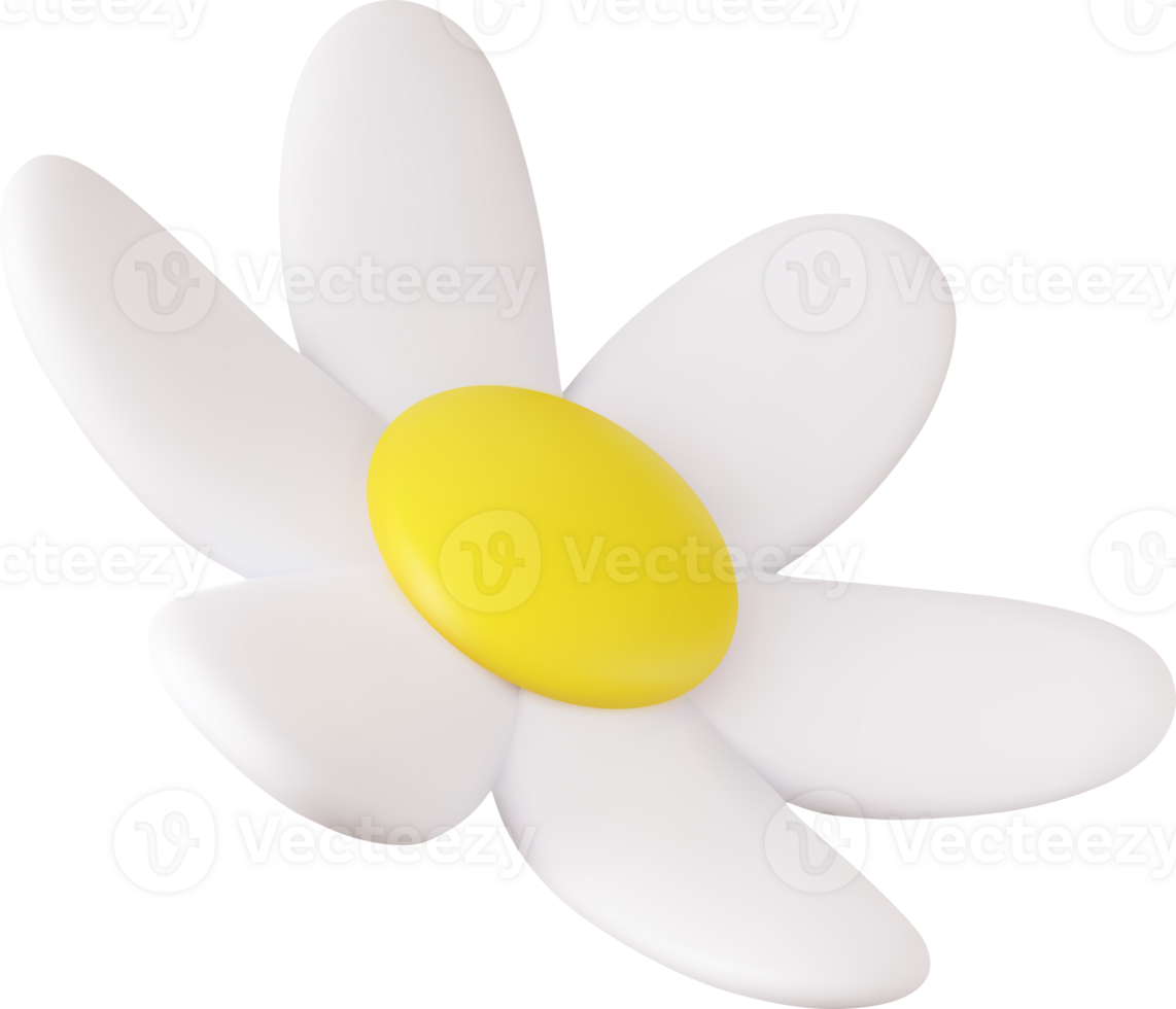 3d colorful daisy flower png