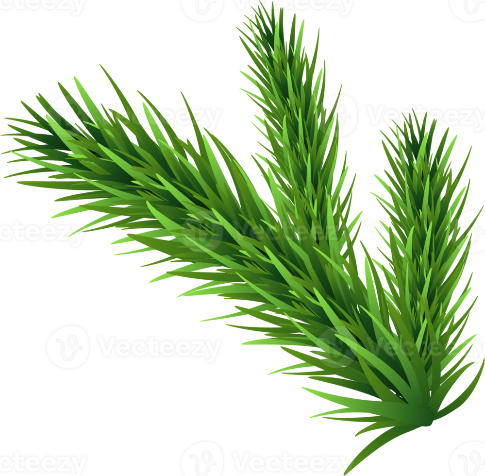 Christmas Tree Fur png