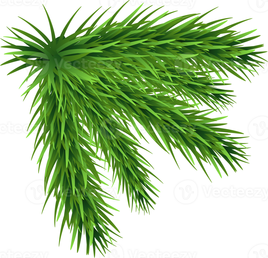 Christmas Tree Fur png