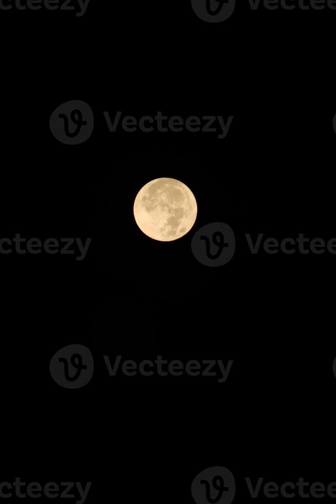 el azul Luna en el noche cielo. gran luna, lleno Luna. foto