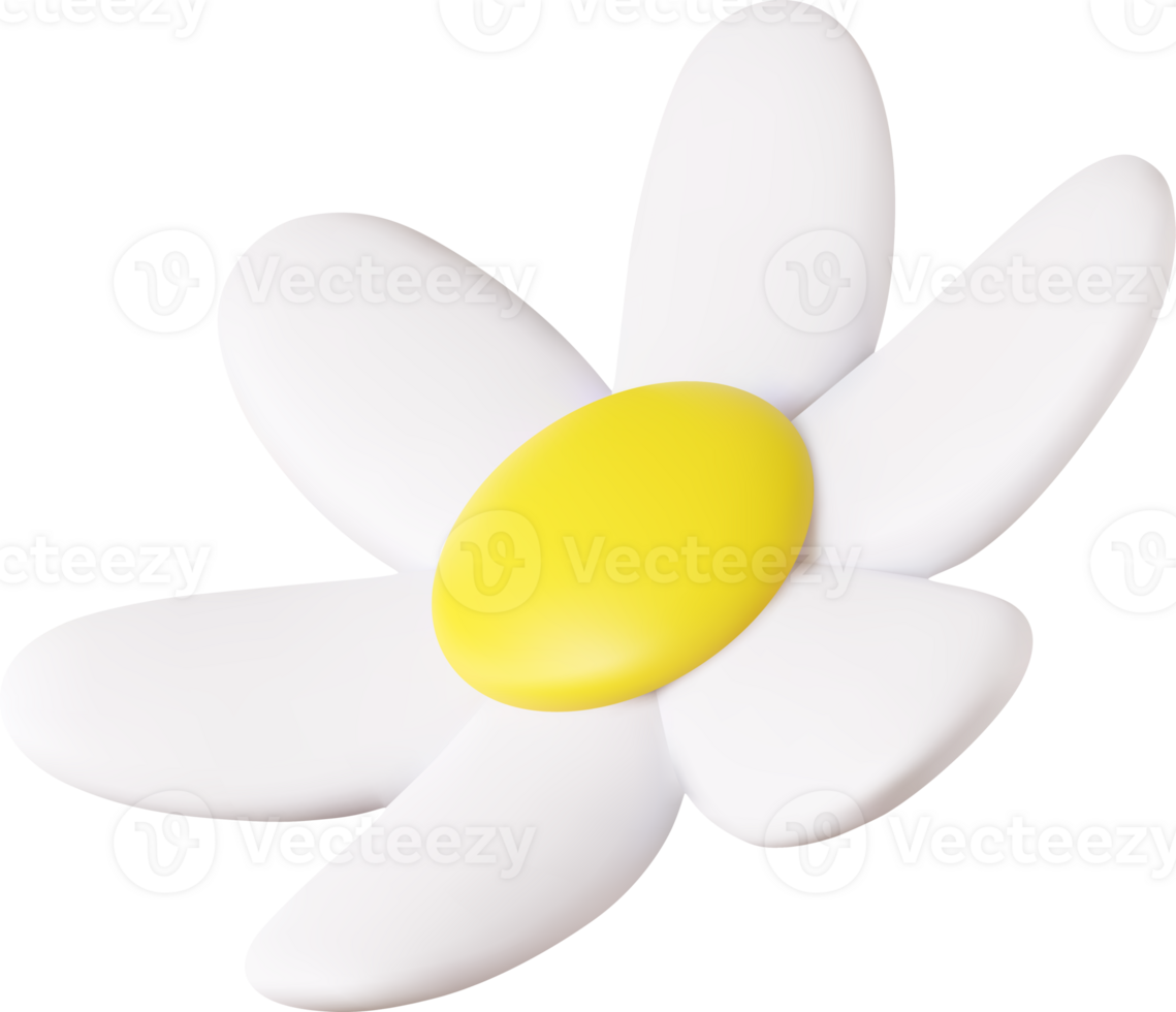 3d colorful daisy flower png