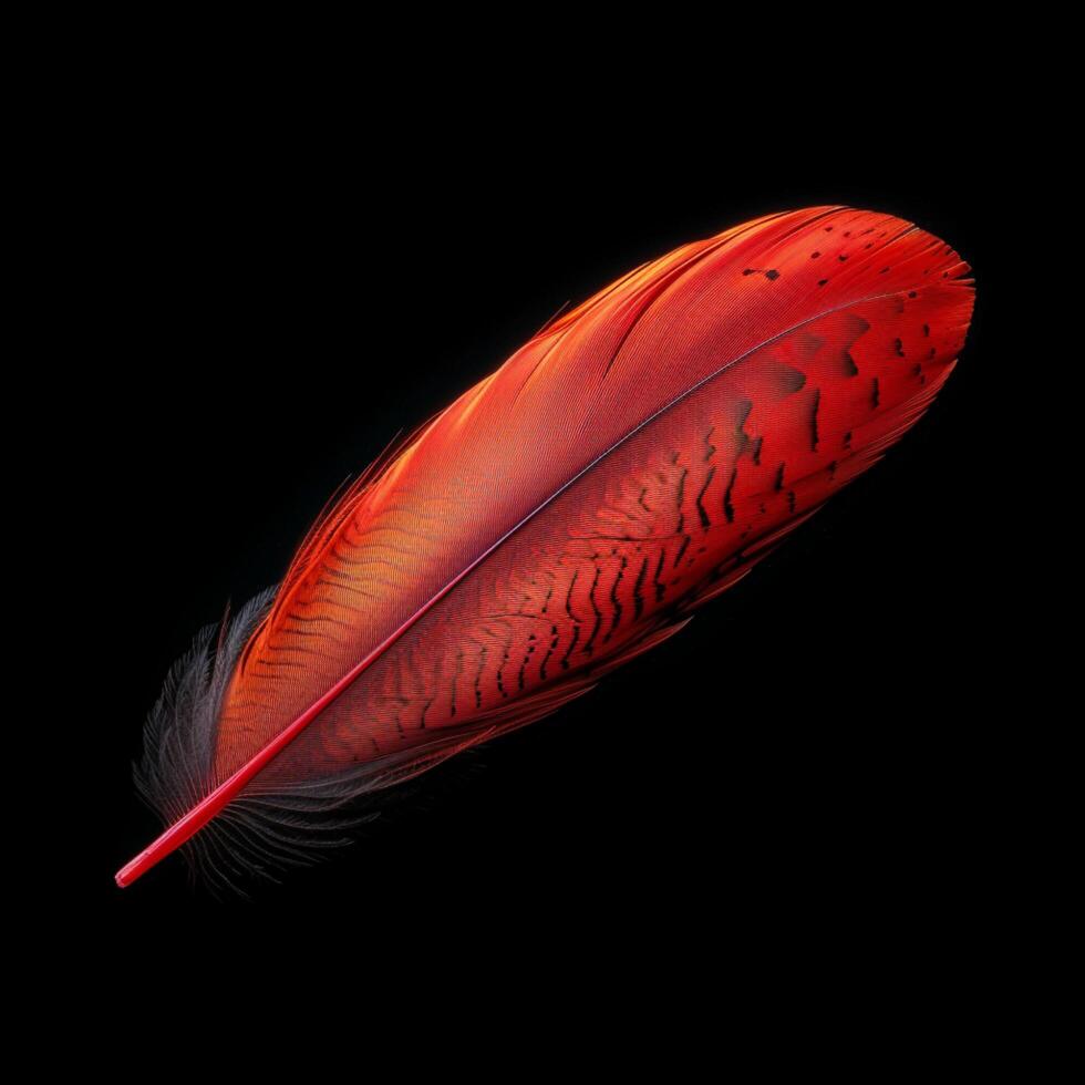 AI generated Vibrant red feather captured in exquisite detail against black background For Social Media Post Size photo