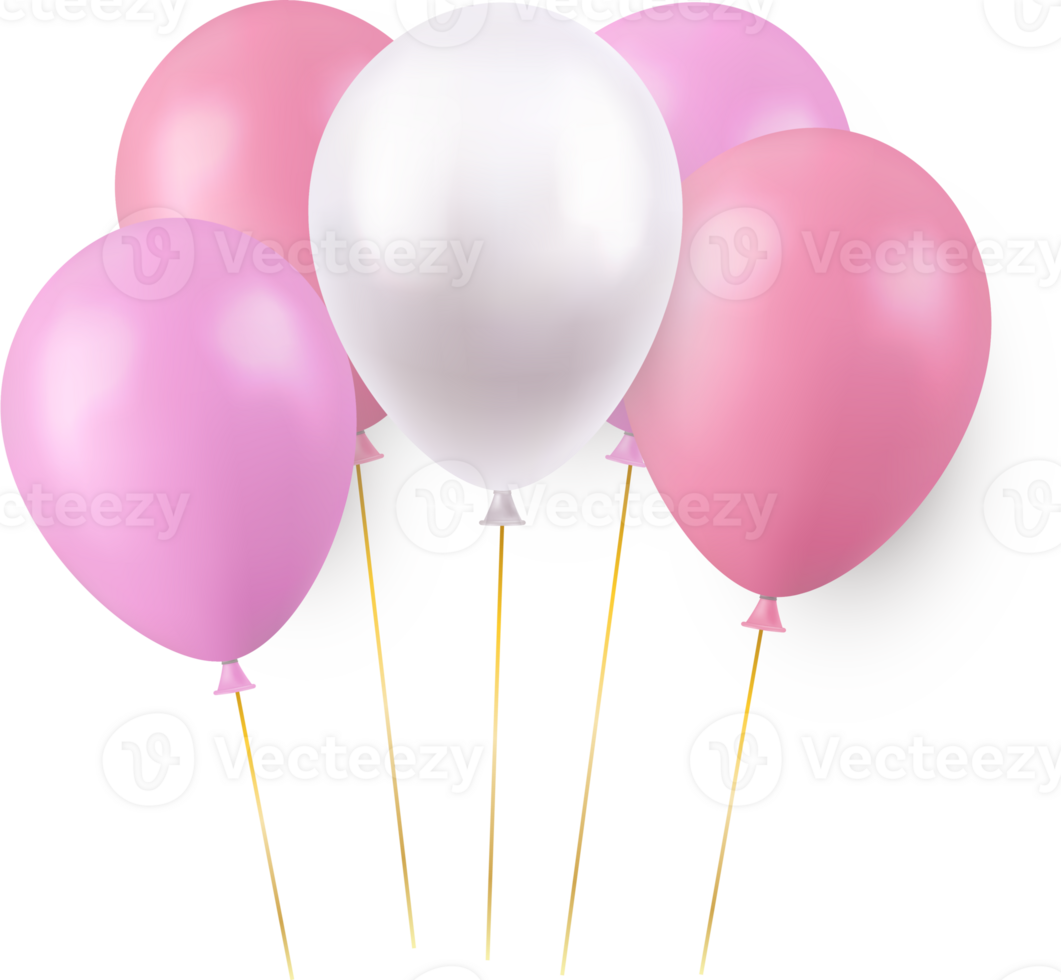 wit roze ballonnen png