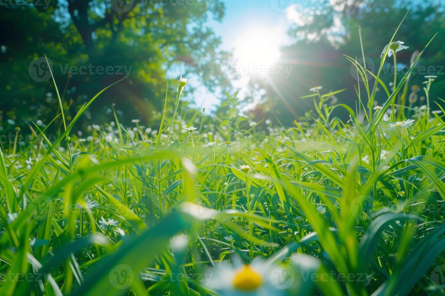 ai generado Perfecto soleado día en primavera, ideal para al aire libre ocupaciones foto