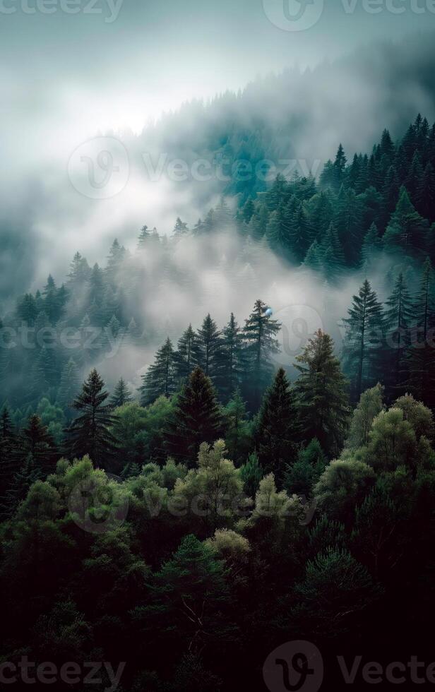 AI generated Landscape photo of fir misty forest with fog. Natural esthetic view for environment consciousness.