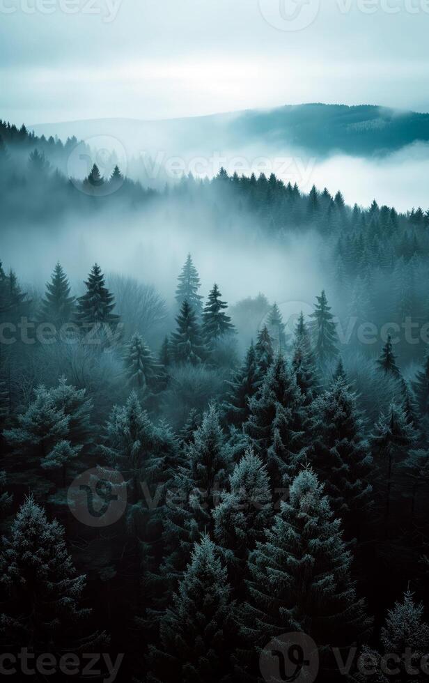AI generated Landscape photo of fir misty forest with fog. Natural esthetic view for environment consciousness.