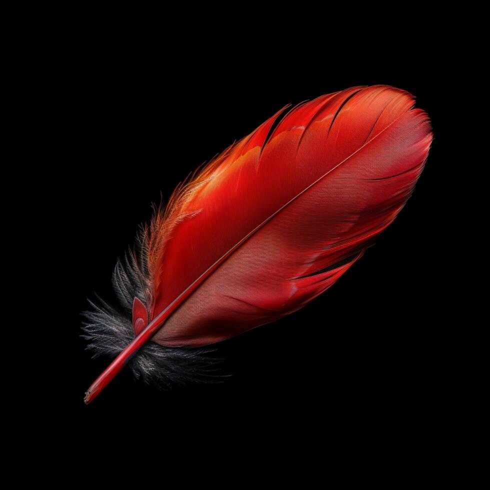 AI generated Vibrant red feather captured in exquisite detail against black background For Social Media Post Size photo