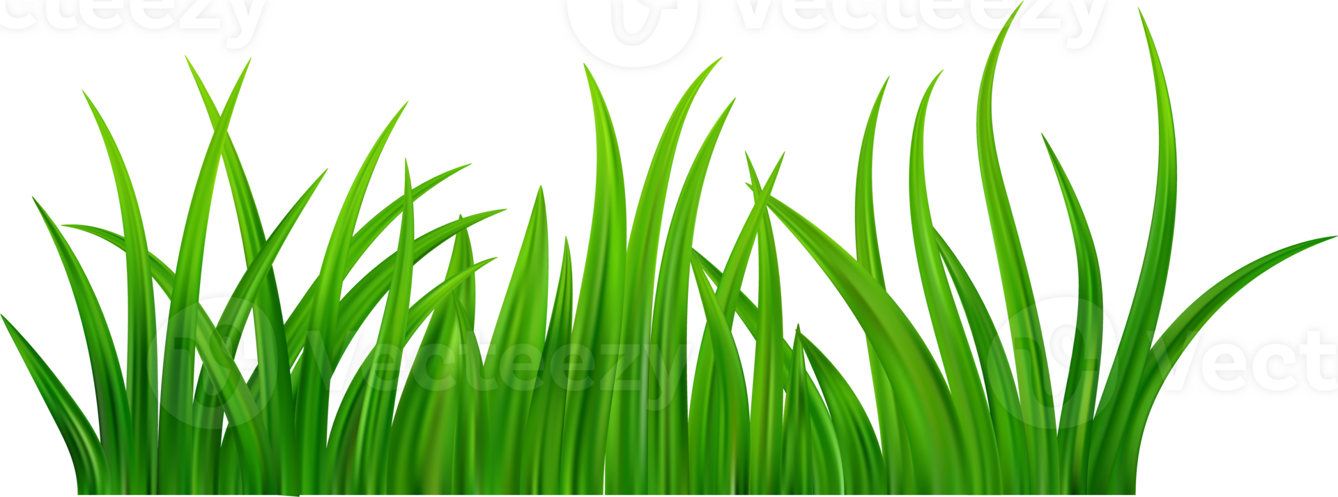 Green grass meadow border png