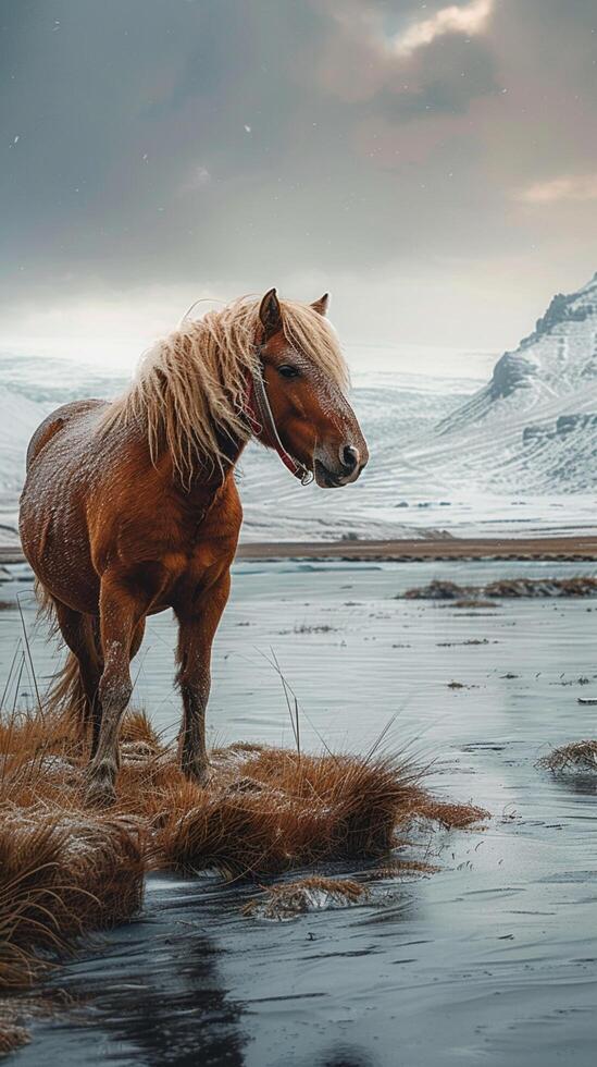 ai generado icónico islandés paisaje presentando majestuoso caballo en medio de maravilloso paisaje vertical móvil fondo de pantalla foto