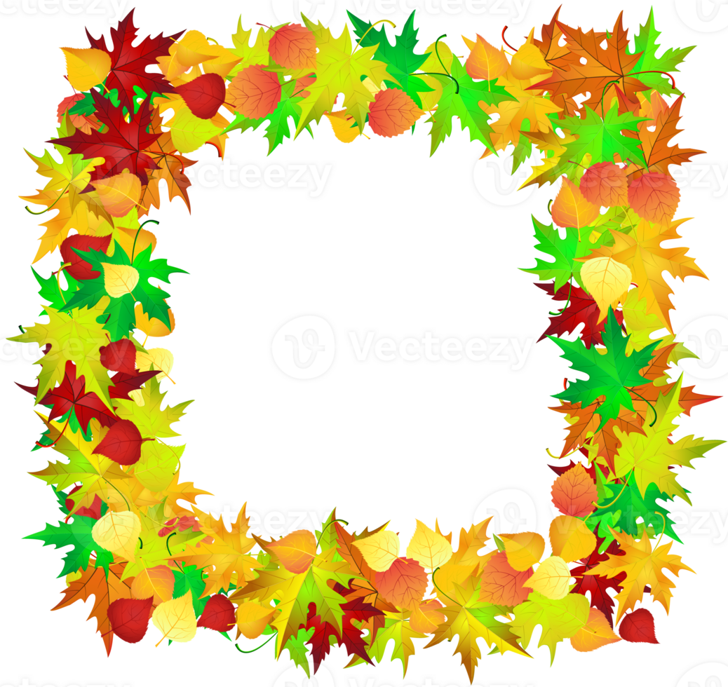 Autumn Frame With Leaves png