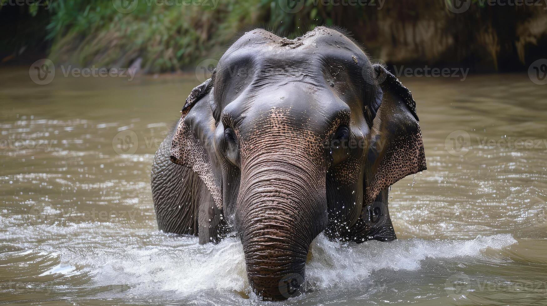 AI generated male Asian elephant is enjoying bathing. photo