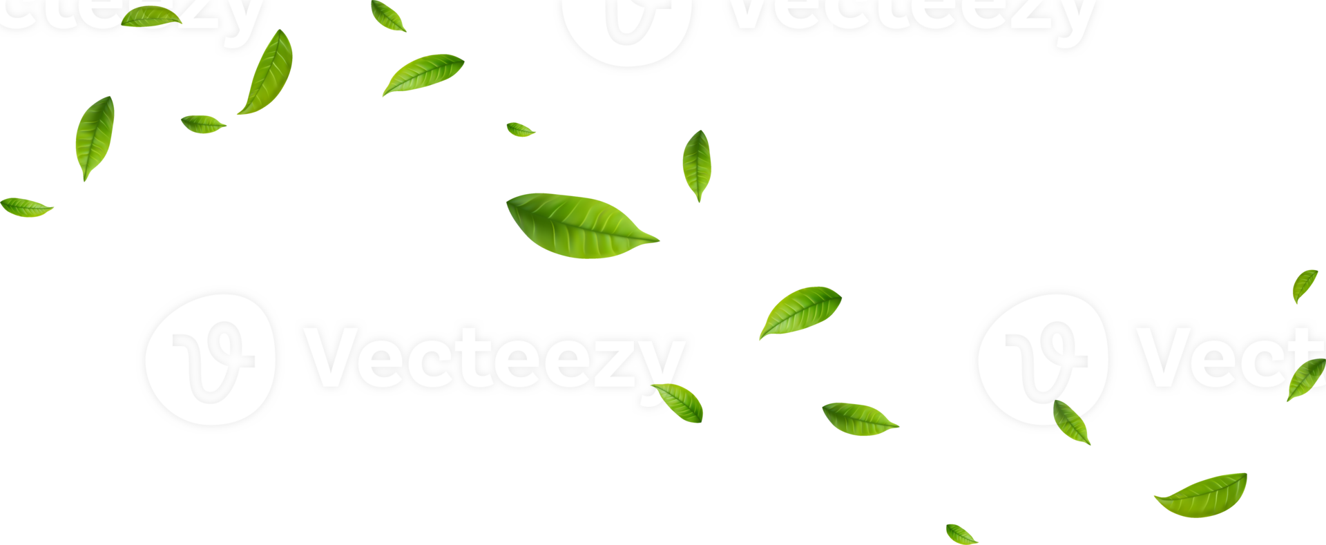 Green leaves fly with a gust of wind. png
