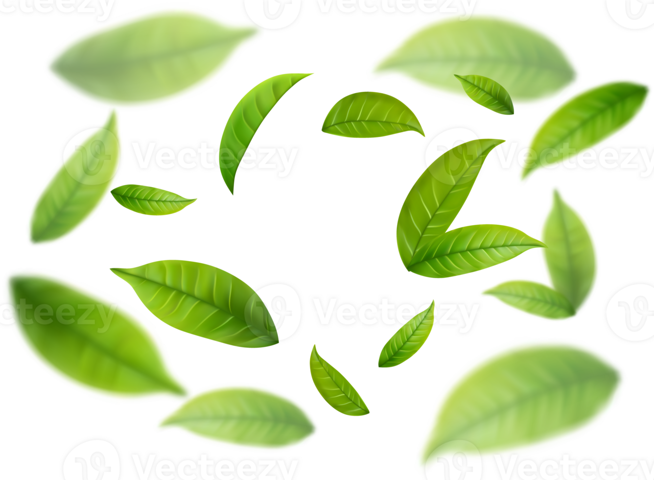 Realistic green tea leaves in motion png