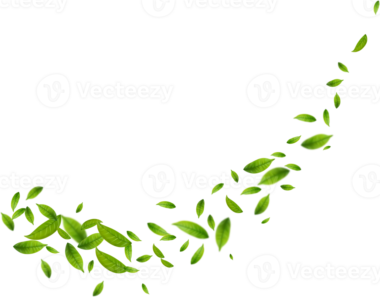 Realistic green tea leaves in motion png