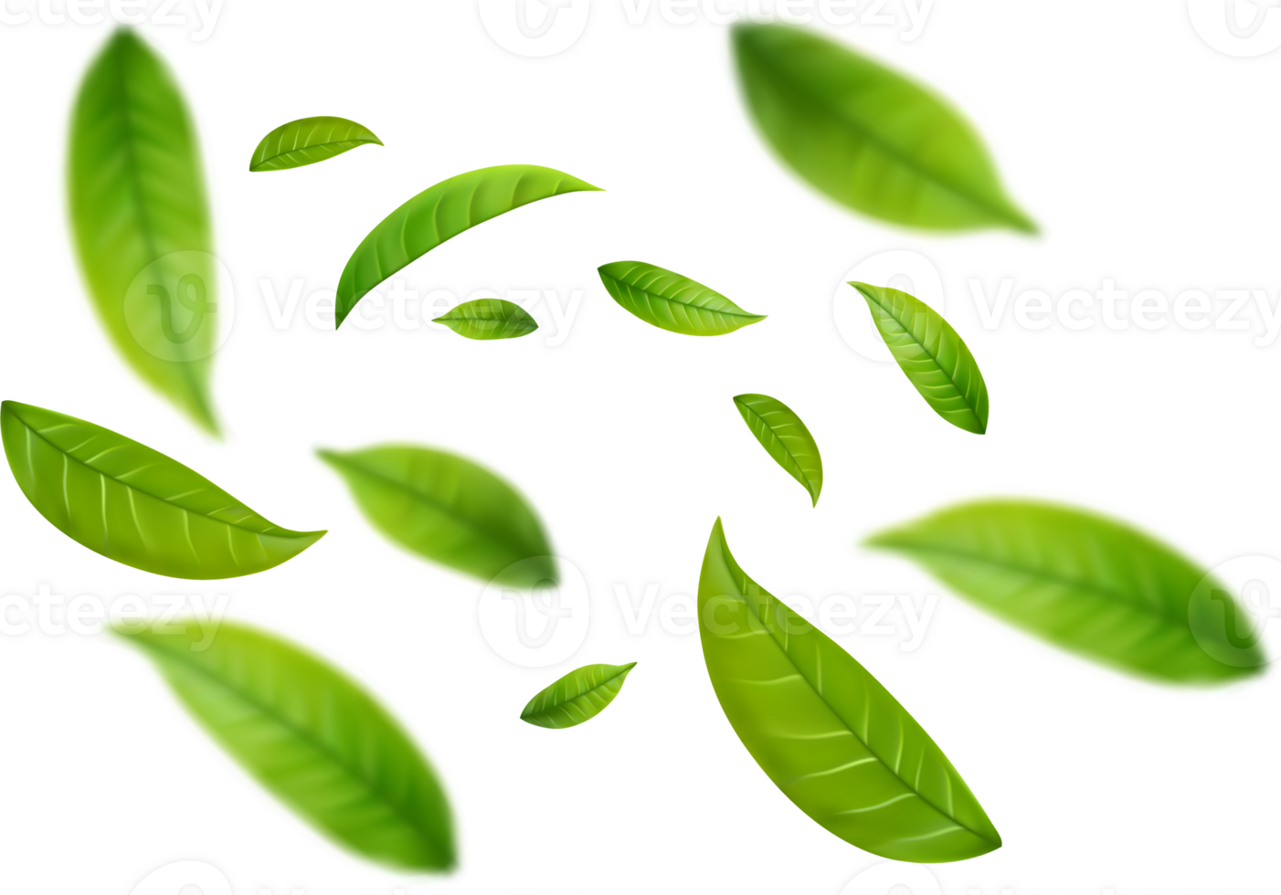 Realistic green tea leaves in motion png