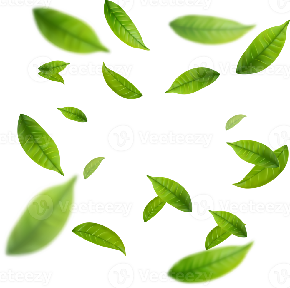Realistic green tea leaves in motion png