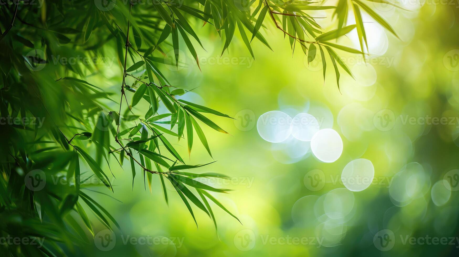 AI generated Nature of green bamboo tree in forest using as background bamboo leaves photo