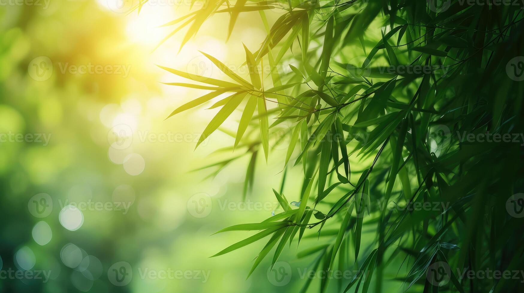 AI generated Nature of green bamboo tree in forest using as background bamboo leaves photo