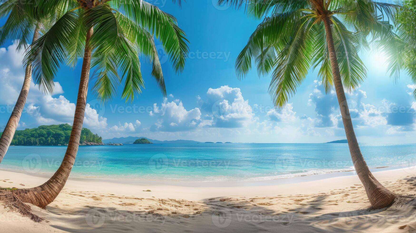 Coconut Tree Beach Stock Photos, Images and Backgrounds for ...