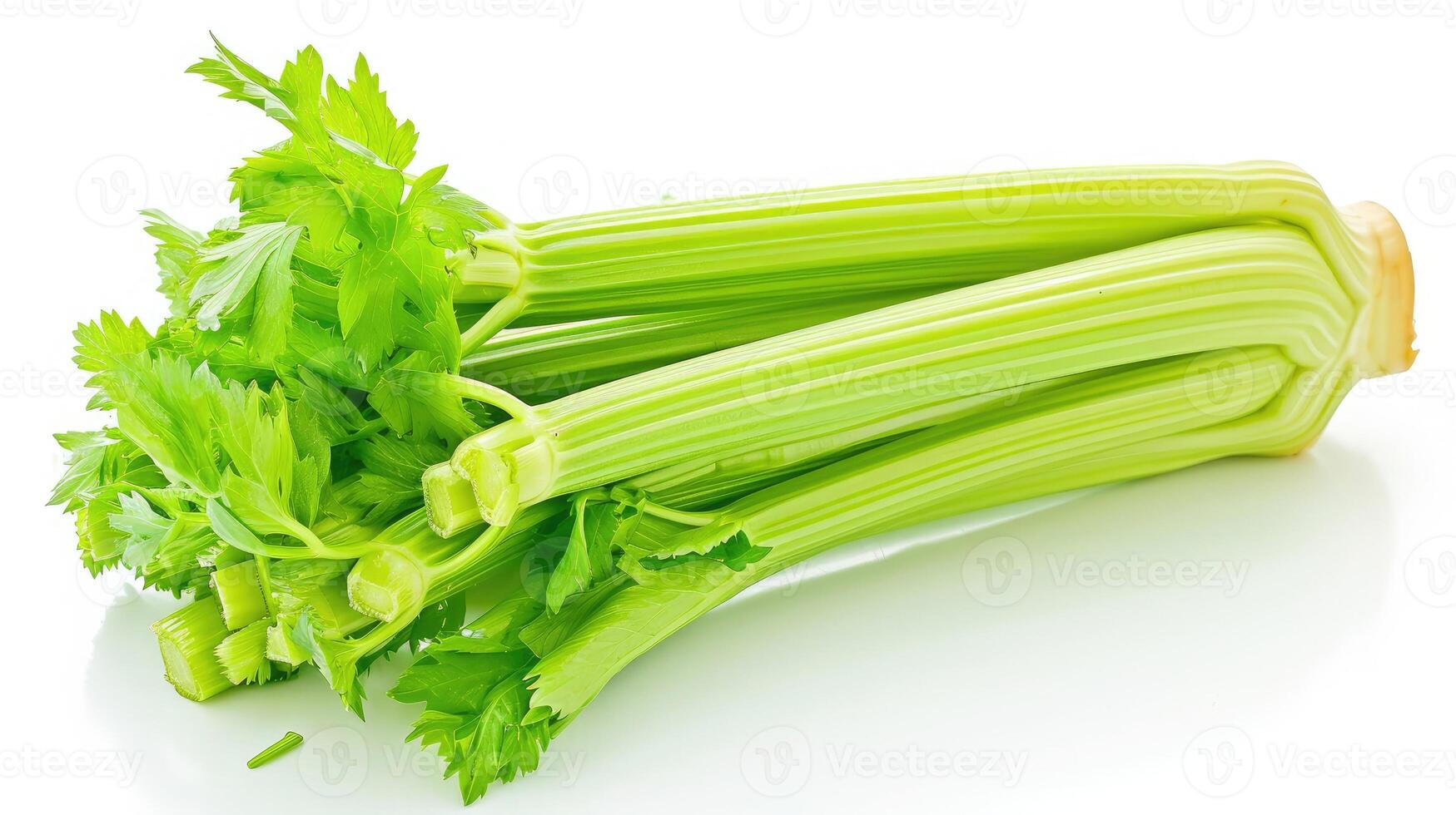 AI generated Celery on isolated white background. photo