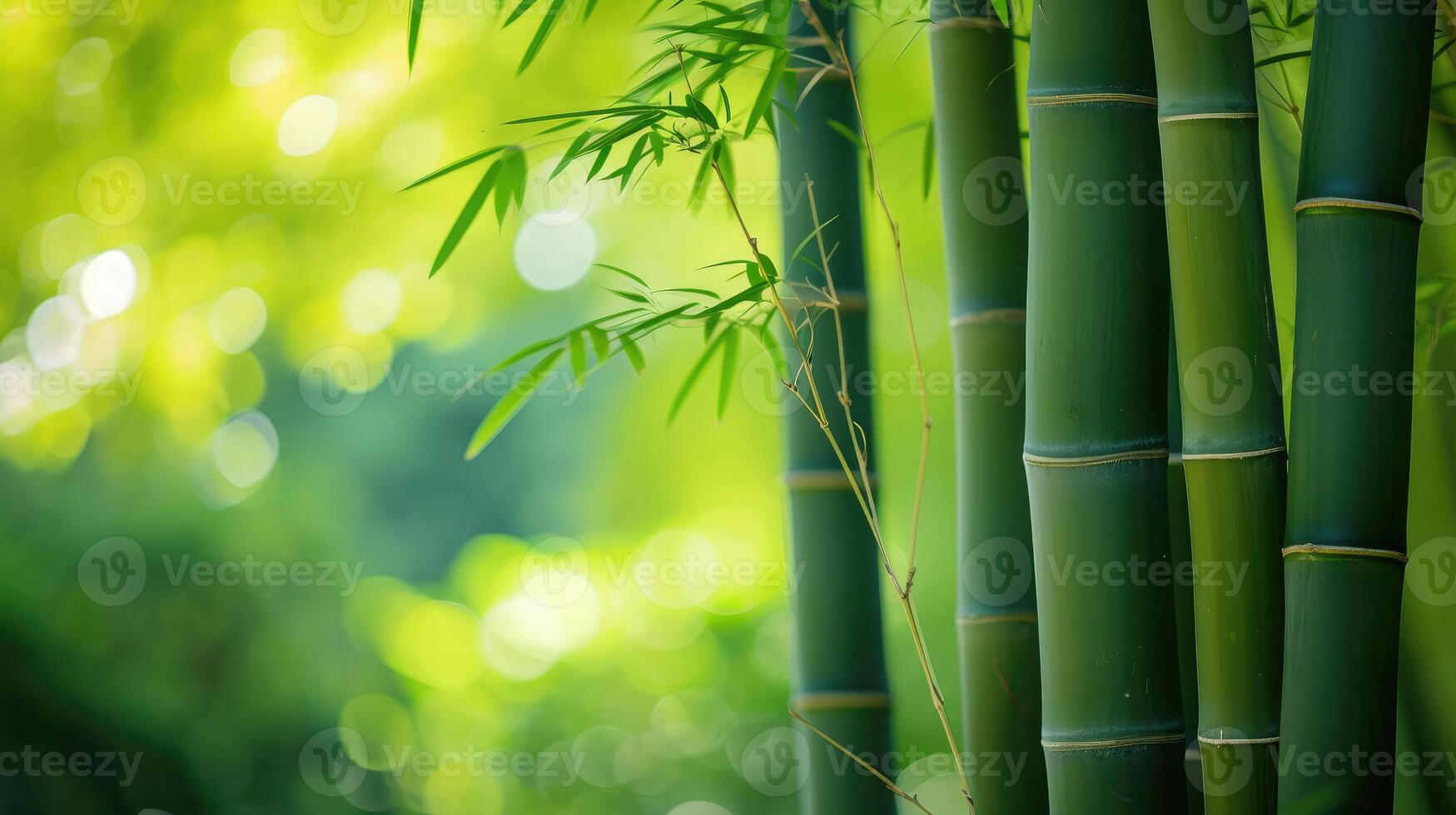AI generated Fresh Bamboo Trees In Forest With Blurred Background photo