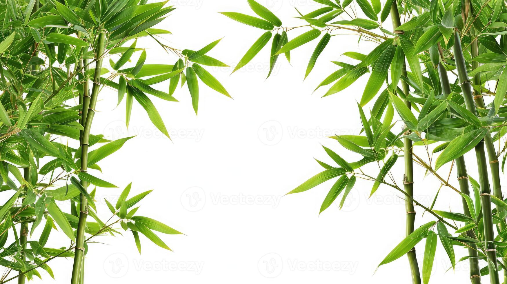 AI generated Green bamboo with leaves isolated on white background photo