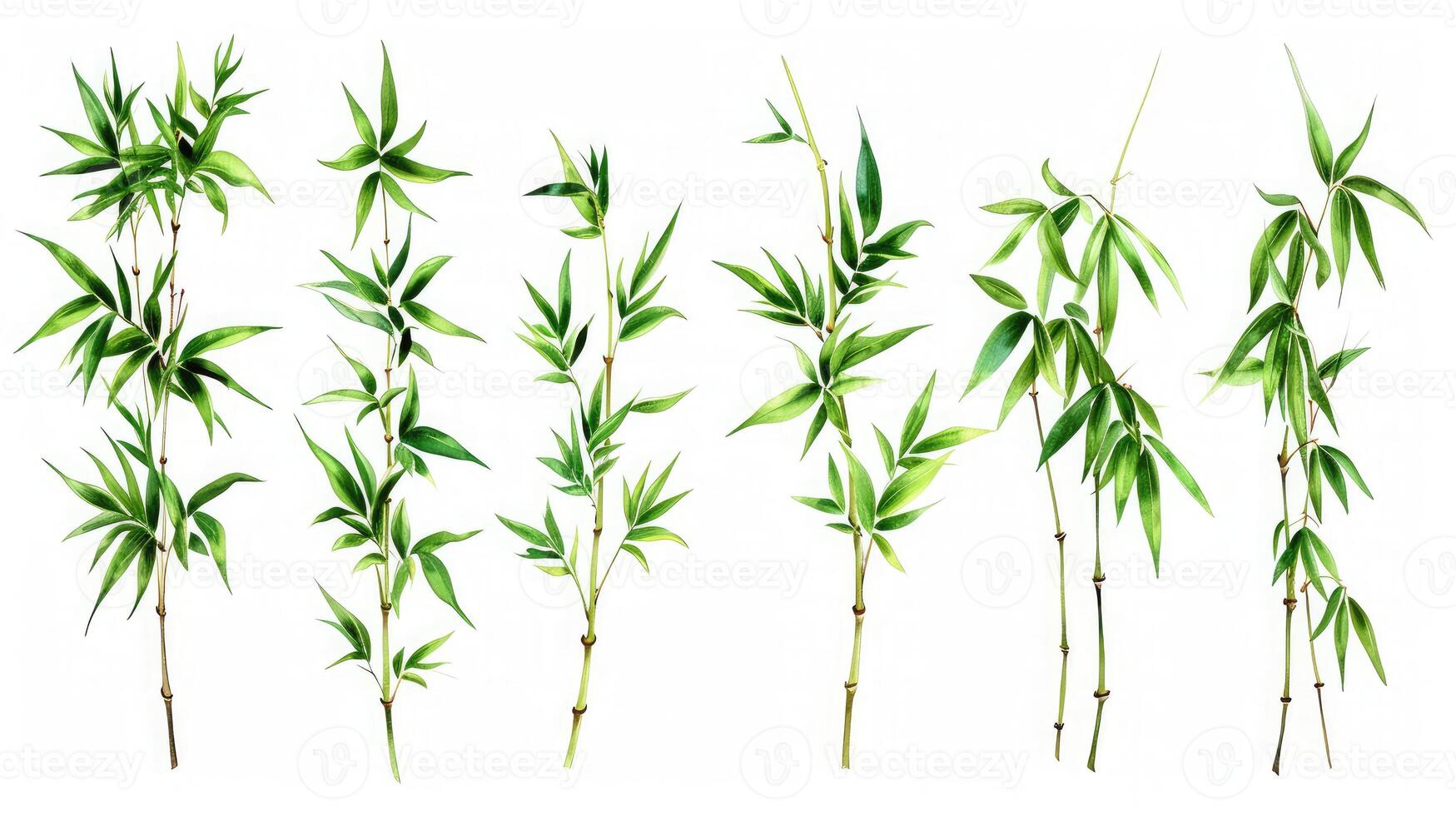 AI generated Branches of bamboo set isolated on white background photo