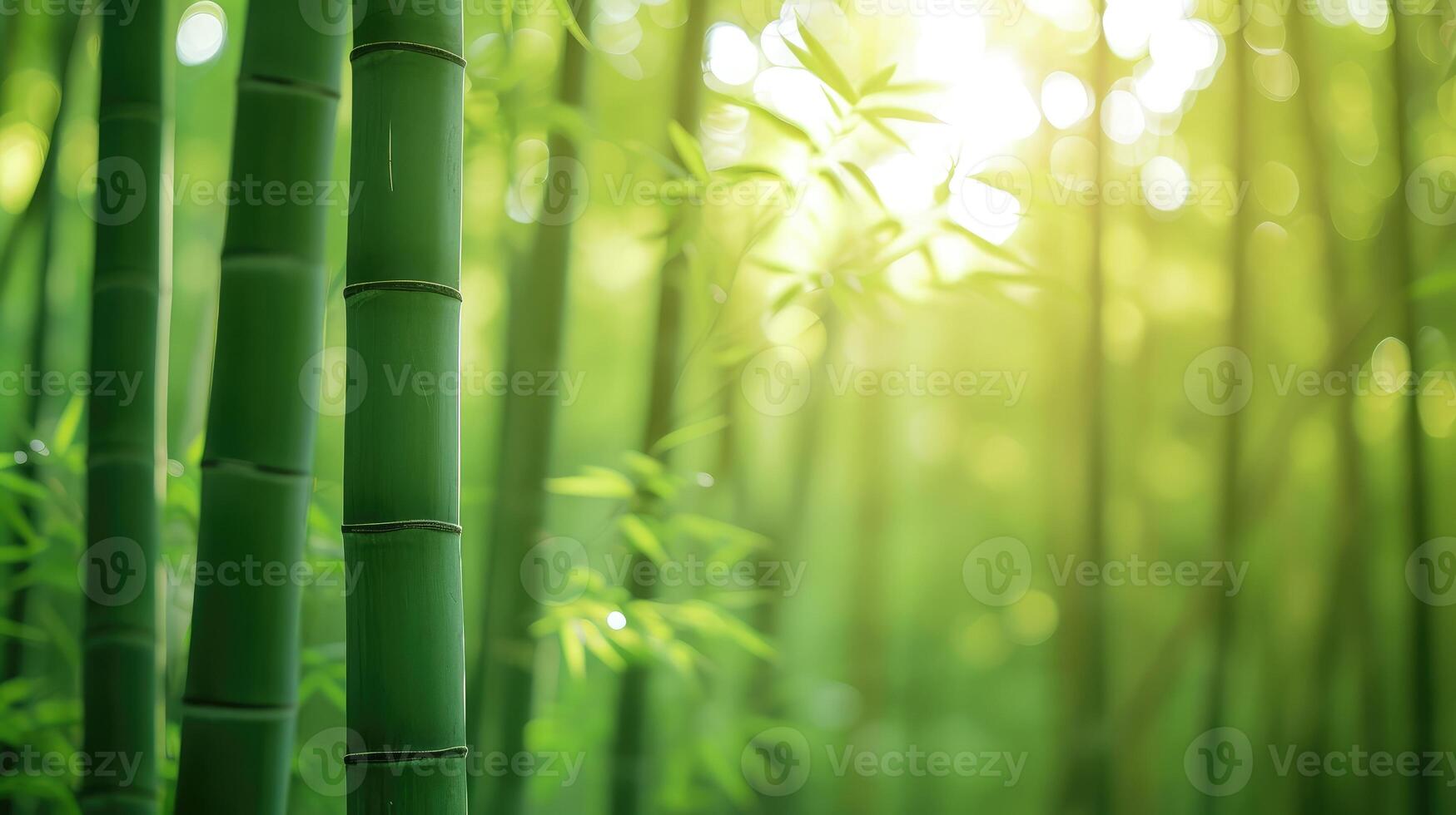 AI generated Blurred images of bamboo forest Bamboo Background photo