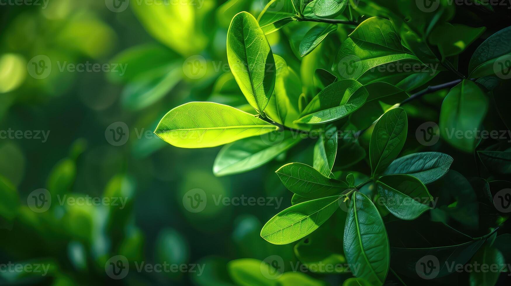 AI generated Nature of green leaf in garden at summer. Natural green leaves plants using as spring background photo