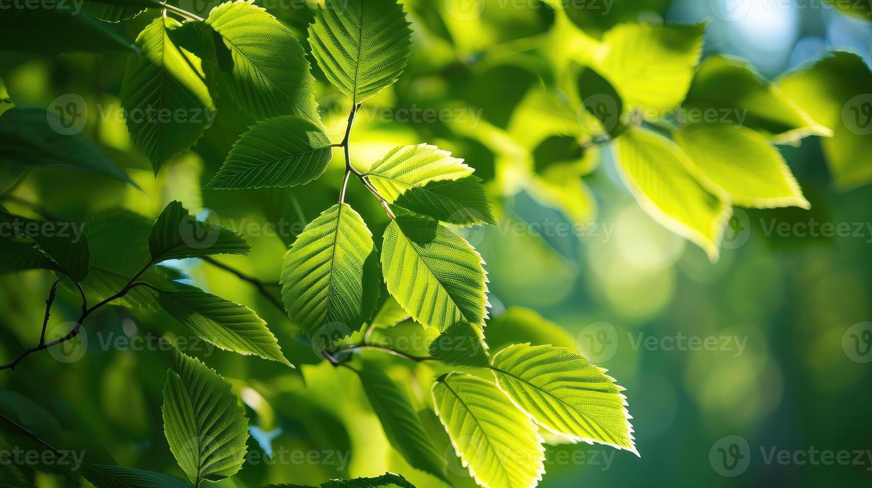 AI generated Green leaves on elm tree. Nature spring and summer background. photo